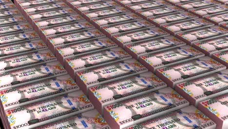 3d animation of guyana 1000 dollars banknotes money stack on white background