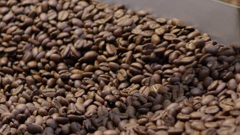 discover the intricate journey of coffee beans from roasting to brewing in a rustic roastery.
