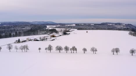 Maravilloso-Día-De-Invierno:-Vuelo-A-Través-De-Un-Paisaje-Nevado-Con-Un-Amplio-Campo-Y-Una-Granja-En-El-Lado-Izquierdo-Detrás-De-Una-Calle-Cubierta-De-Nieve-Con-Una-Hilera-De-árboles-Desnudos