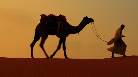 Kameltreiber,-Kameltreiber-Bei-Sonnenuntergang.-Thar-Wüste-Bei-Sonnenuntergang-Jaisalmer,-Rajasthan,-Indien.