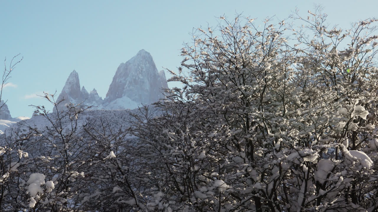 Zoomed View of Mount Fitz Roy and snow covered trees from El Chalten in winter with clear blue sky.