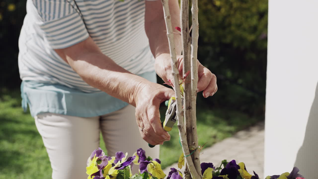 정원 가꾸기 는 나 를 바 ⁇ 게 한다