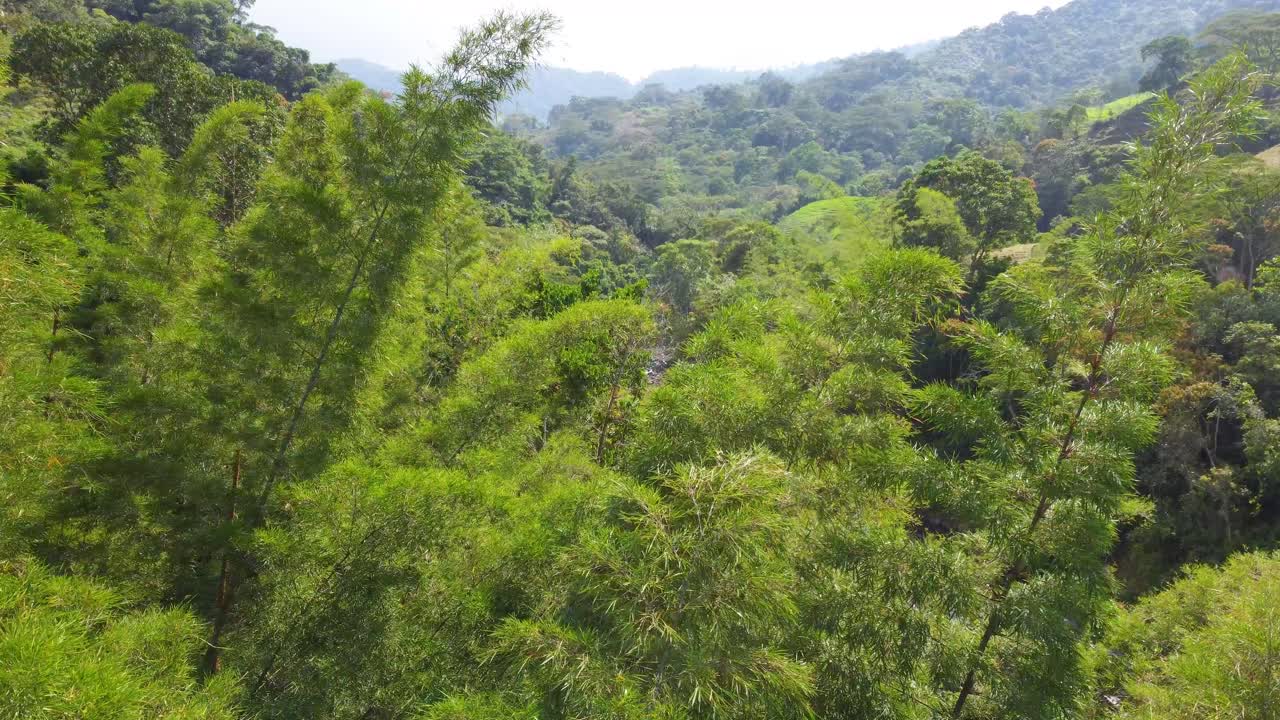 fotografía de un avión no tripulado que se acerca de un lecho de río secado entre un exuberante bosque tropical, una cuenca protegida ubicada en río negro, laguna de fuquene, risaralda, en colombia