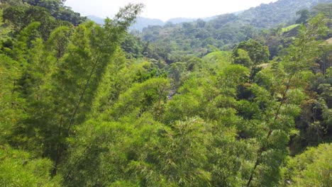 Approaching-drone-shot-of-a-dried-up-riverbed-between-a-lush-rain-forest,-a-protected-watershed-located-in-Rio-Negro,-Laguna-de-Fuquene,-Risaralda,-in-Colombia