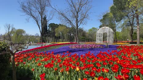 istanbul tulip festival.