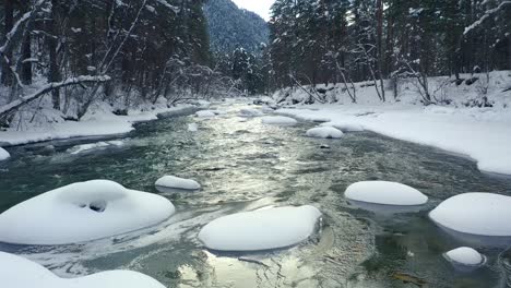 beautiful snow scene forest in winter. flying over of river and pine trees covered with snow.