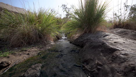 close up shot of hot water mountain stream runs downhill near the dead sea