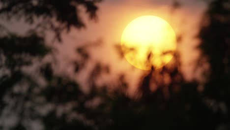 a big sun is going down