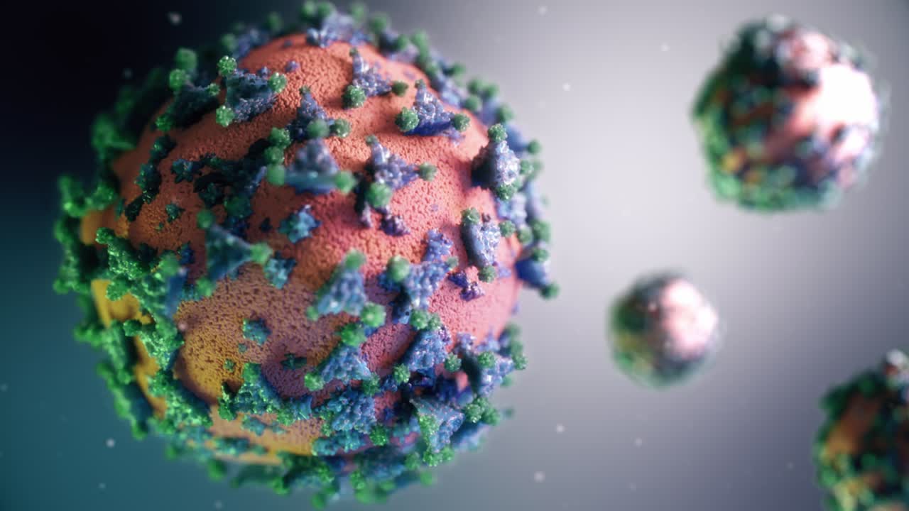 ilustración de la estructura del virus