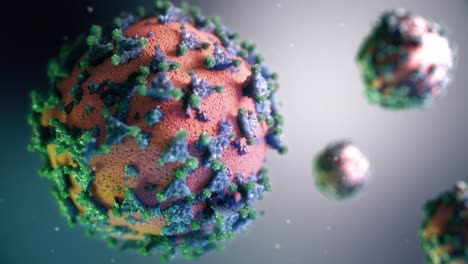 virus structure illustration