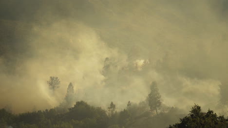 Desafortunado-Bosque-De-Kern-En-Llamas-Humo-California