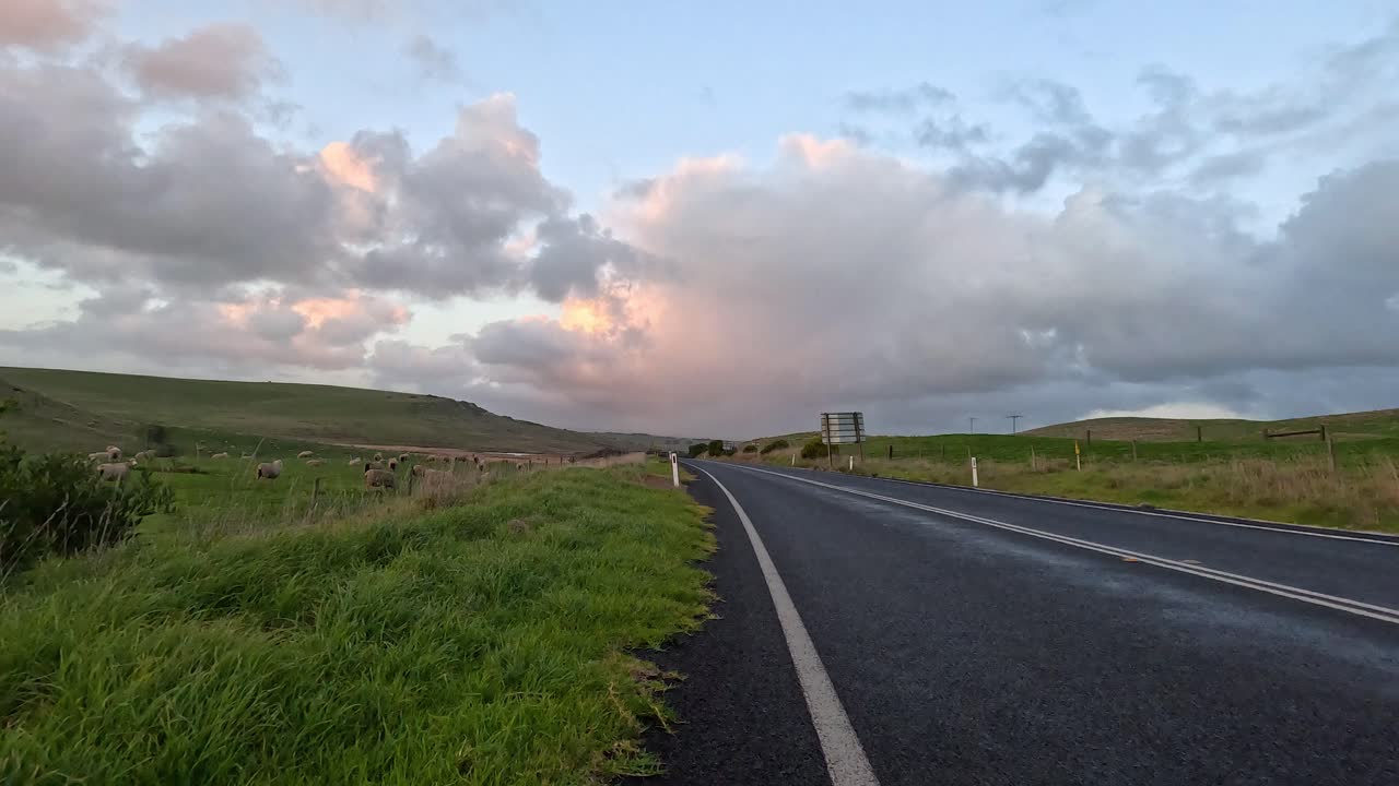 구름 이 많은 하늘 아래 도로 근처 에서 양 들 이 풀 을 고 있다