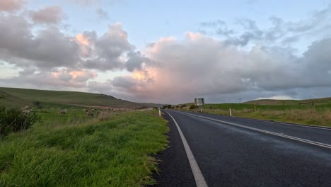 ovejas pastando cerca de la carretera bajo un cielo nublado