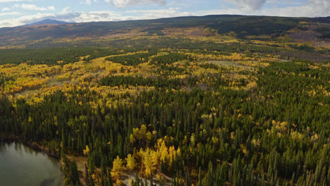 autumn-coloured forest at the lakeshore in british columbia, canada