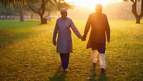 elderly couple walking in a park at sunset