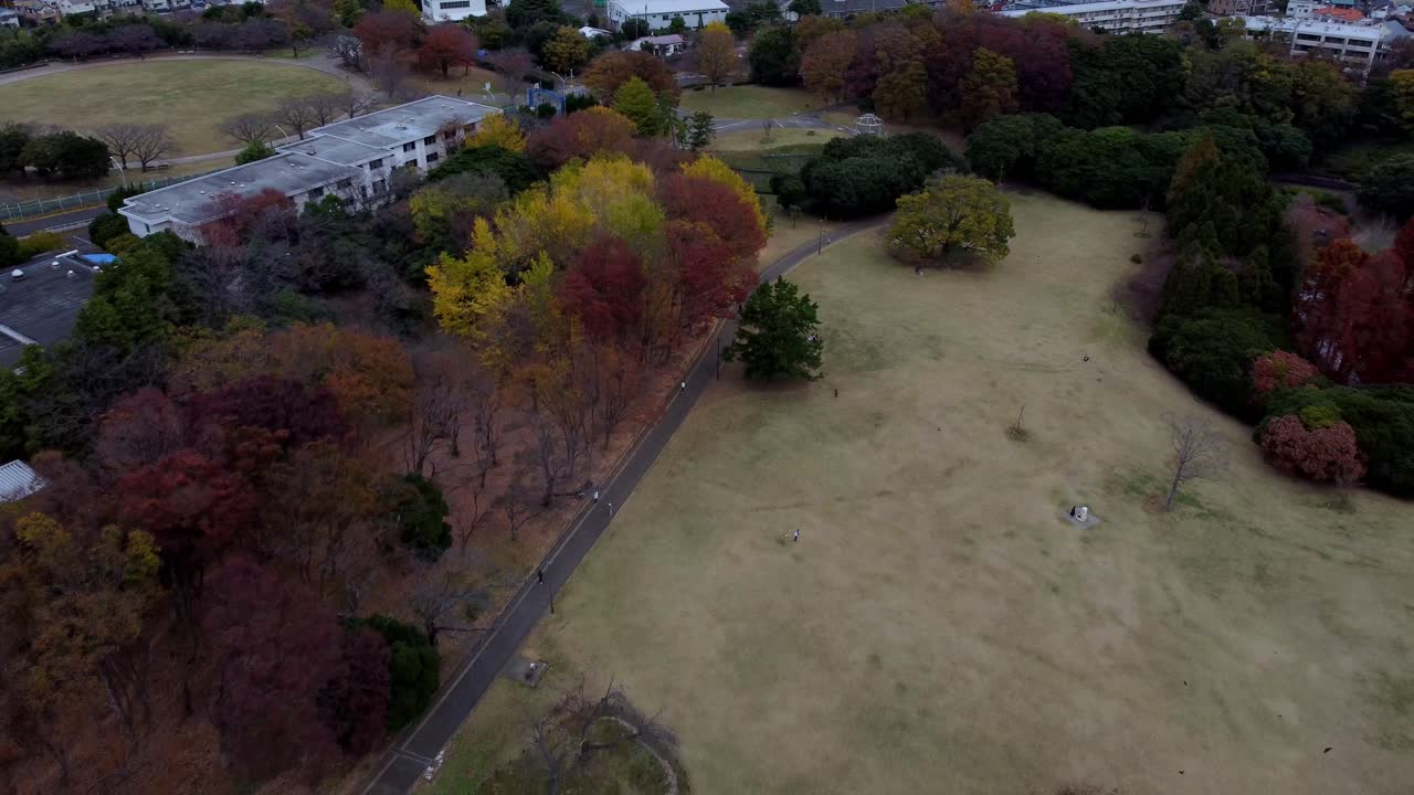산책로와 희박한 방문객이 있는 다채로운 가을 공원, 구름이 가득한 날, 평온한 공중 풍경