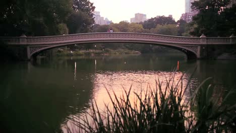 Incline-Hacia-Arriba-En-Un-Lago-Y-Un-Puente-En-El-Central-Park-De-La-Ciudad-De-Nueva-York