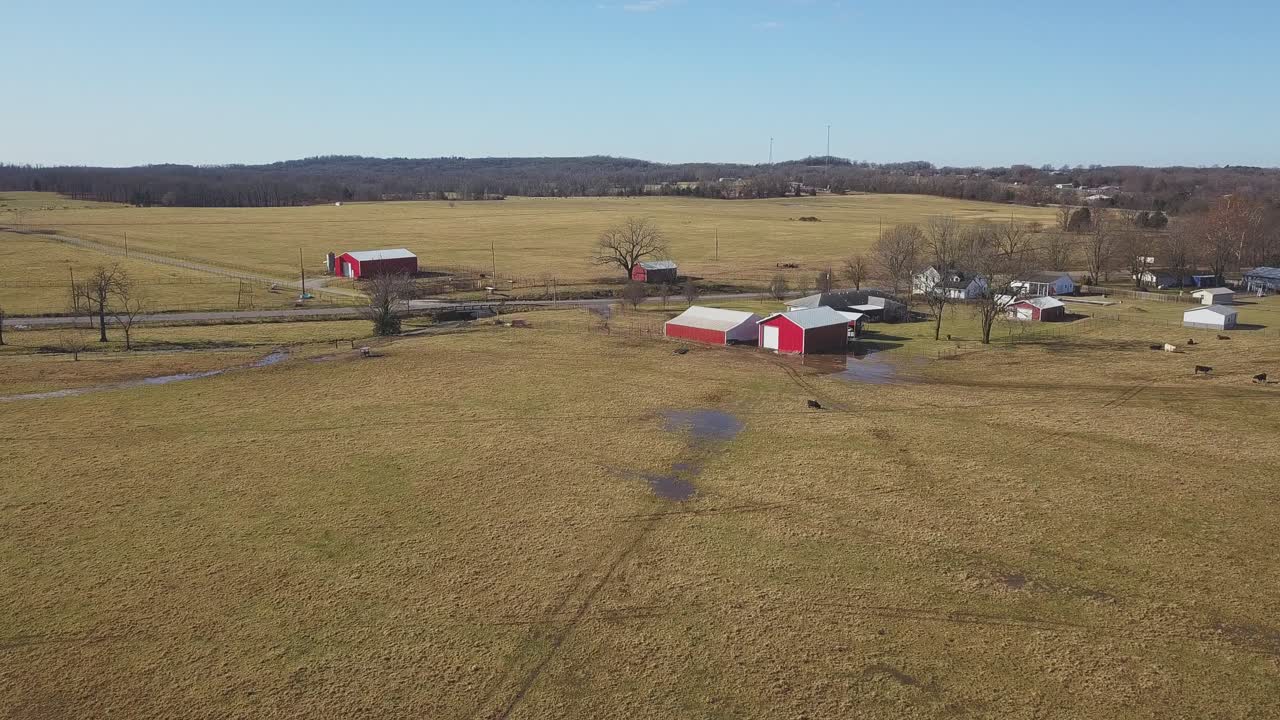 vista aérea de baja altitud sobre tierras de cultivo con rancho y vacas