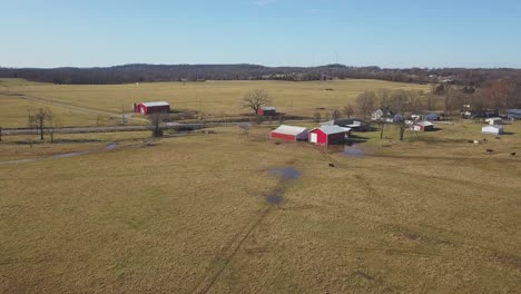 Luftbild-Aus-Geringer-Höhe-über-Ackerland-Mit-Ranchhaus-Und-Kühen