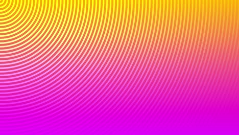 Animation-background-radial-wave-circular-line-motion-graphics-loop-pattern-design-colour-visual-digital-effect-optical-illusion-beautiful-4K-orange-pink