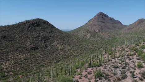 drone flight through tucson, arizona mountains with saguaro cacti