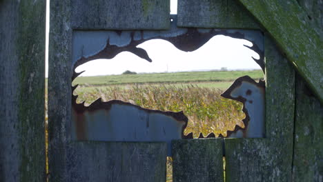 bird watching hide in the shape of a hawk eagle in the countryside