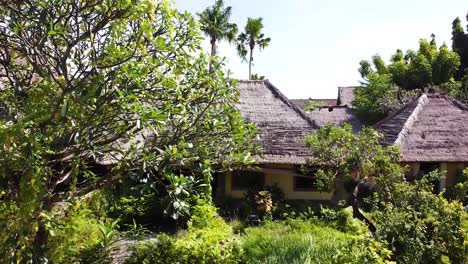 drone rises up to reveal a small village with thatched roofs in a lush jungle