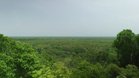 4K-Filmische-Landschaftsaufnahmen-Der-Maya-Ruinen-Von-Ek-Balam-Mitten-Im-Dschungel-Von-Yucatan,-Mexiko-An-Einem-Sonnigen-Tag