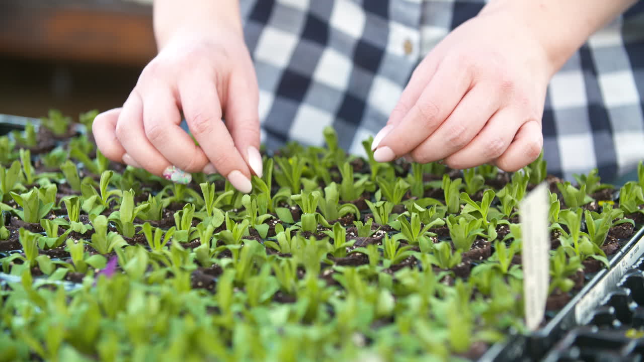 화분을 조사하는 젊은 여성 식물학자 14