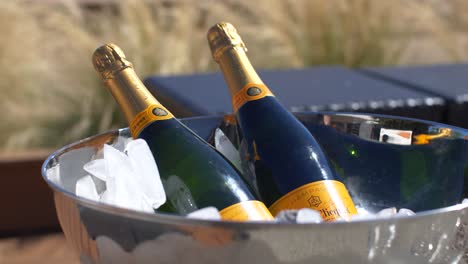 Two-bottles-of-Veuve-Clicquot-champagne-in-silver-bowl-and-ice-in-front-of-grass-in-the-sun