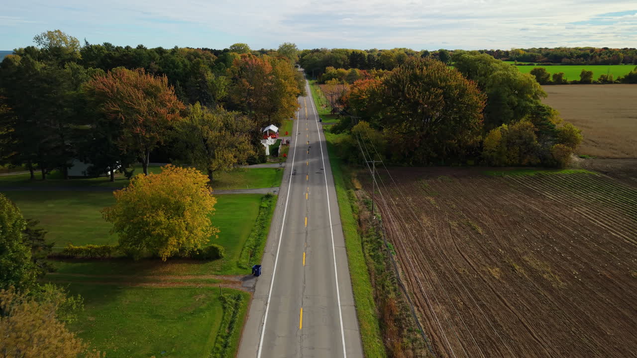 Aerial view of a straight country road in autumn