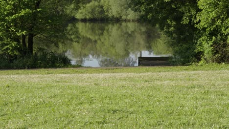 Dolly-Moving-Shot-of-Calm-Lake-with-Small-Jetty-and-Trees-in-Summer