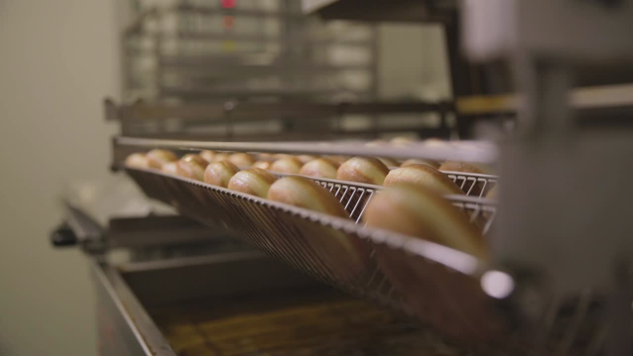 Doughnut Production Line