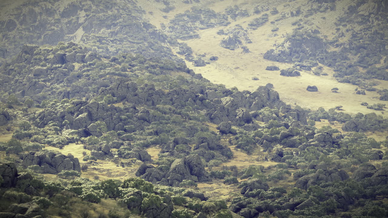 Vast rocky landscape with vegetation under soft sunlight