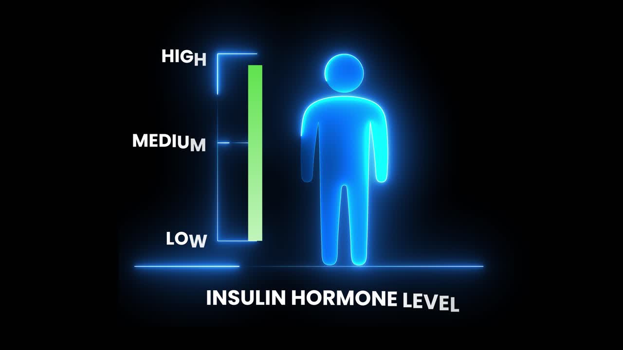 Digitální zobrazení kolísání hladiny lidského hormonu inzulínu