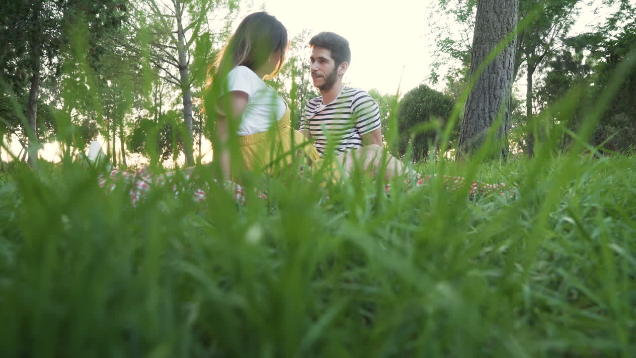 Pregnant couple having a picnic in the park at sunset