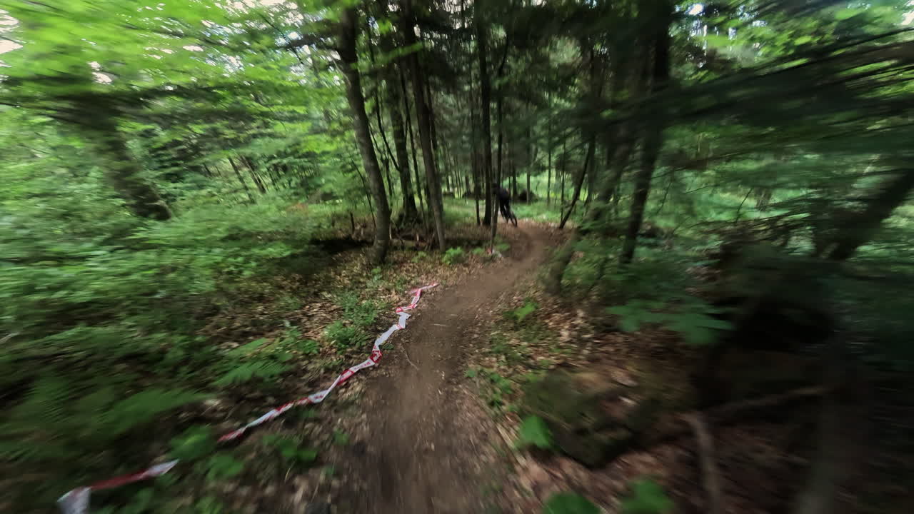POV Mountain Biking Down a Winding Forest Trail