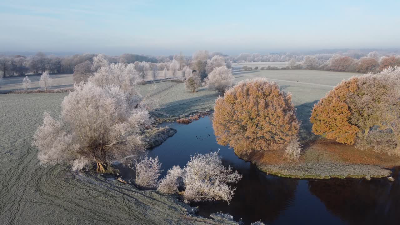 Riprese aeree di brina sugli alberi lungo il fiume Stour al mattino presto.