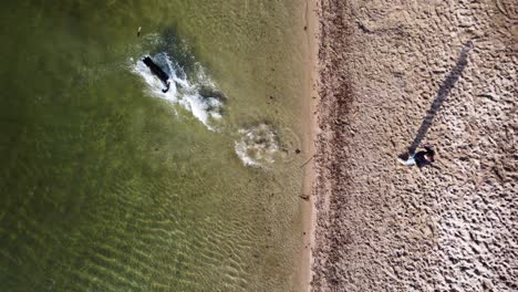 foto de perro y su dueño jugando a buscar en el agua