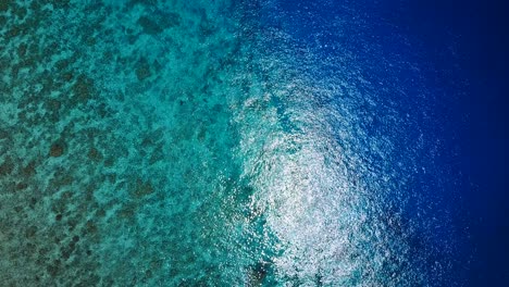 el agua poco profunda a azul profunda en el arrecife se cae a las profundidades, los ojos de los pájaros ven el tiro giratorio