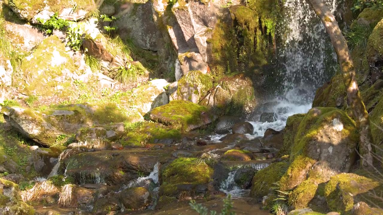 Static wide shot of a gentle cascade flowing through moss-covered stones in natural sunlight.