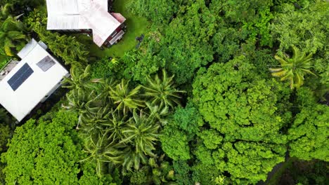 Aerial:-House-with-Solar-Panels-in-Oahu,-Hawaii