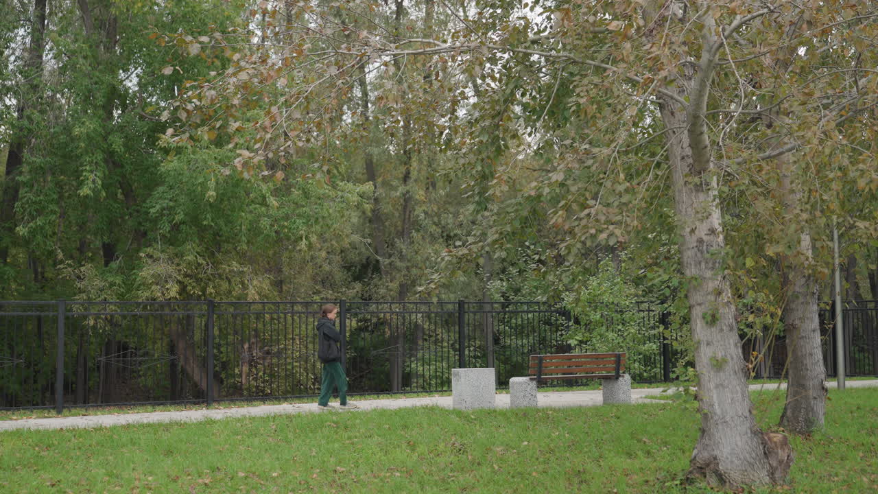 banco de parque, sendero arbolado con persona paseando, valla bajo un dosel de abedules, hojas cayendo sobre la hierba, ambiente tranquilo y reflexivo, chaqueta informal, breve pausa cerca del asiento, espacio verde urbano capturado