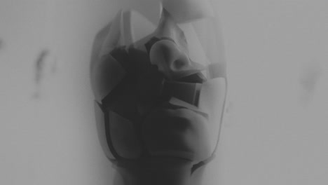 broken mannequin head shells in xray