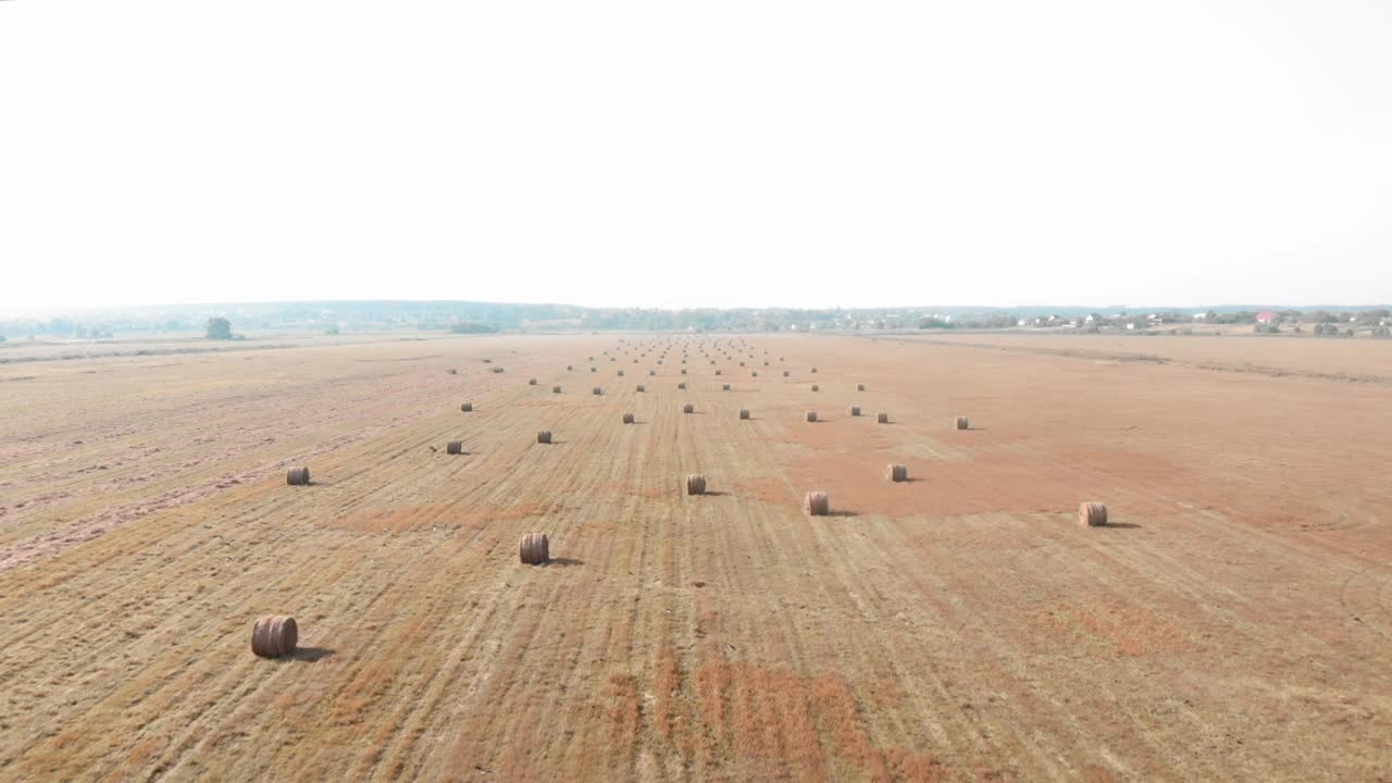 Summer field with rolled haystacks with background of sunny sky. Hay wrapped in haystacks lying all over the field. Agronomy and agribusiness concept