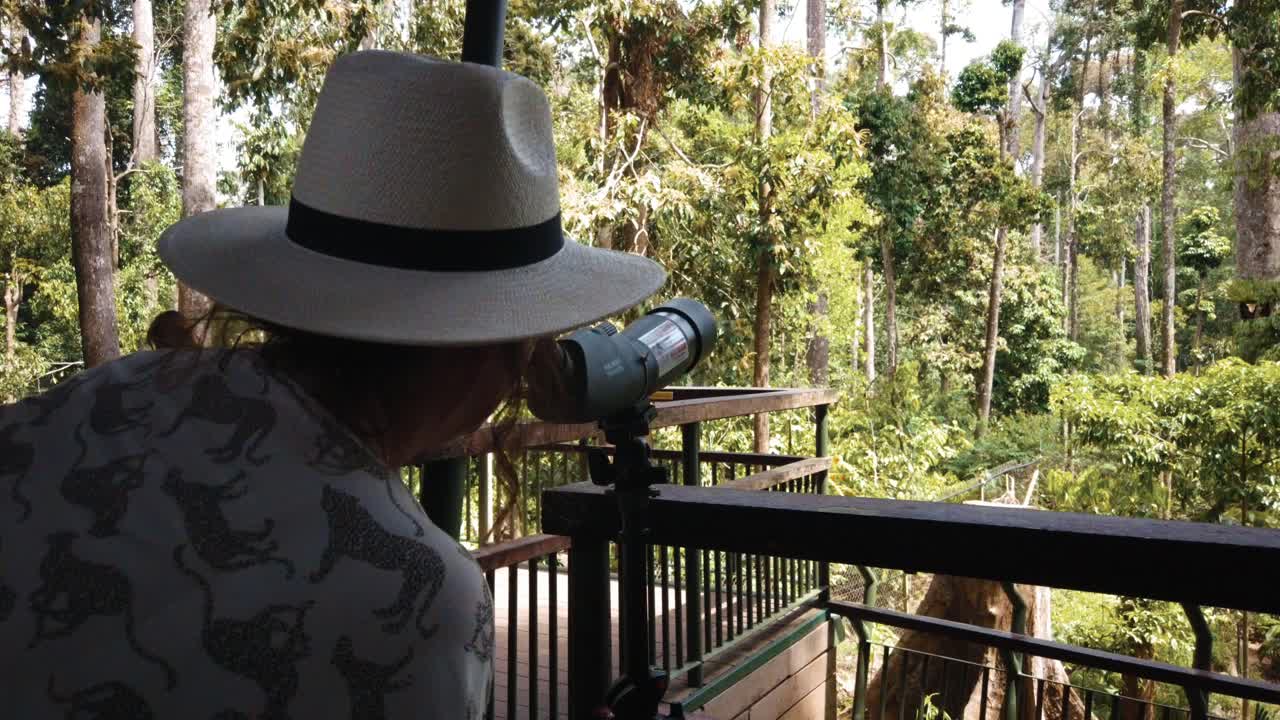 mujer turista mirando a través de un telescopio en la selva tropical del parque nacional sabbah en borneo