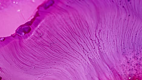 close-up of purple ink dissolving in water creating abstract patterns