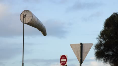 windsock swaying near road signs and tree