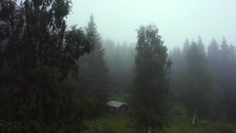 Tilt-up-aerial-view-of-a-lonely-cabin-among-pine-trees-in-a-cloudy-and-mysterious-forest,-Unset-Norway