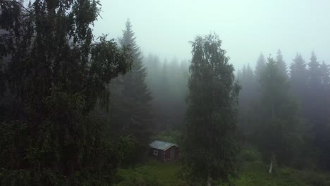 tilt up aerial view of a lonely cabin among pine trees in a cloudy and mysterious forest, unset norway